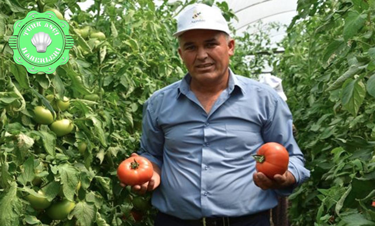 Yayla Domatesi Katar Sofrasında